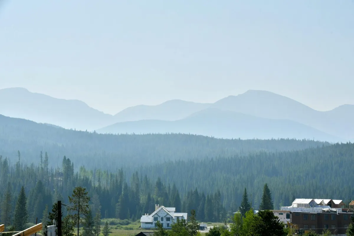 A scenic mountain landscape with distant peaks, lush trees in the foreground, and a tranquil ambiance. The view suggests endless opportunities for hiking, nature walks, and exploring trails with pets.